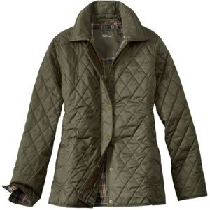 LL Bean Quilted Riding Jacket in Dark Ivy Small